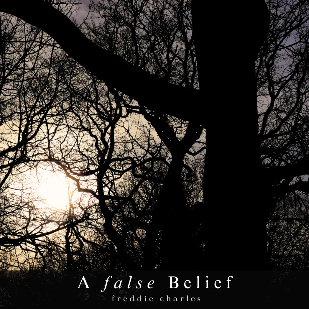 Tree silhouette artwork for A False Belief by freddie charles