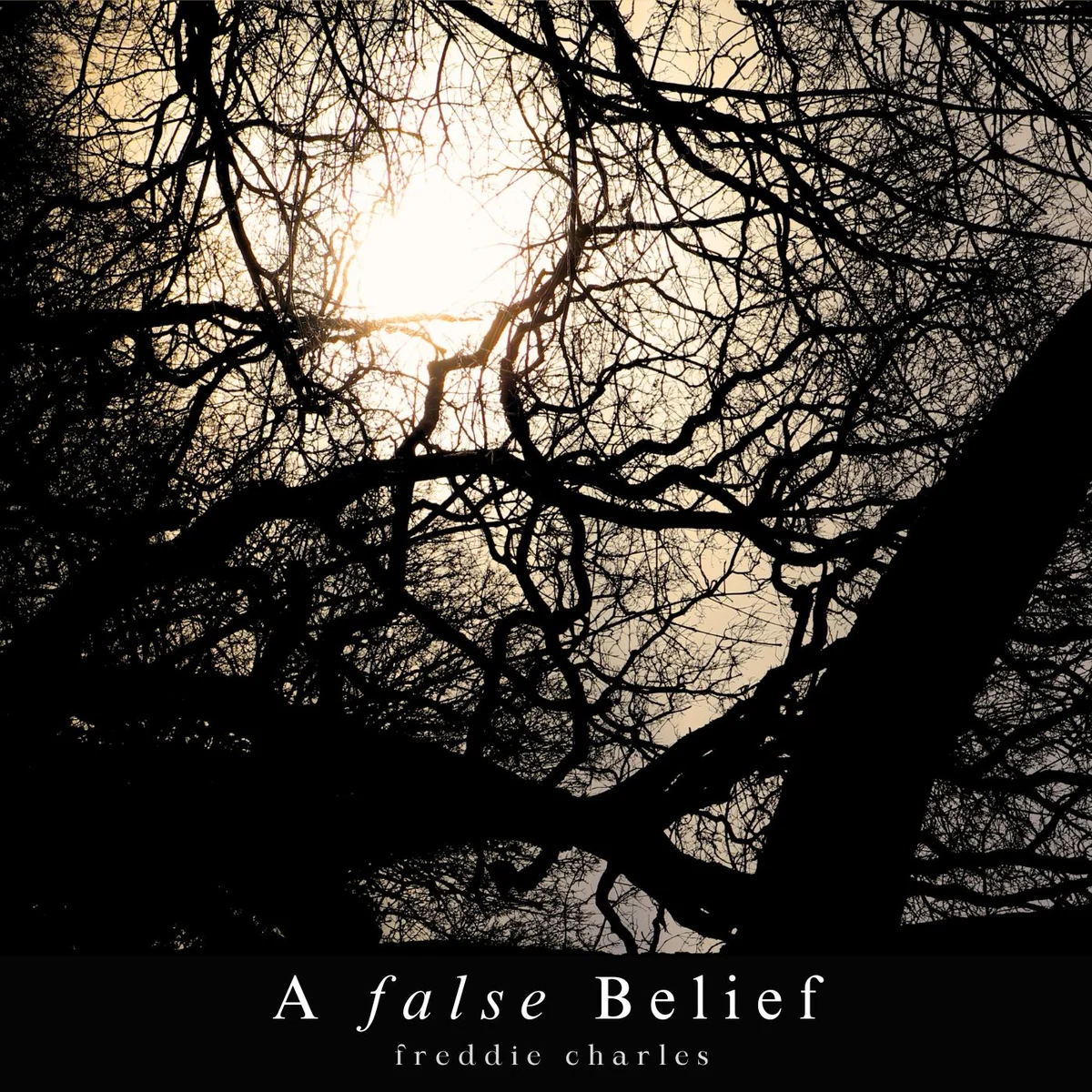 Silhouetted tree artwork for A False Belief by freddie charles