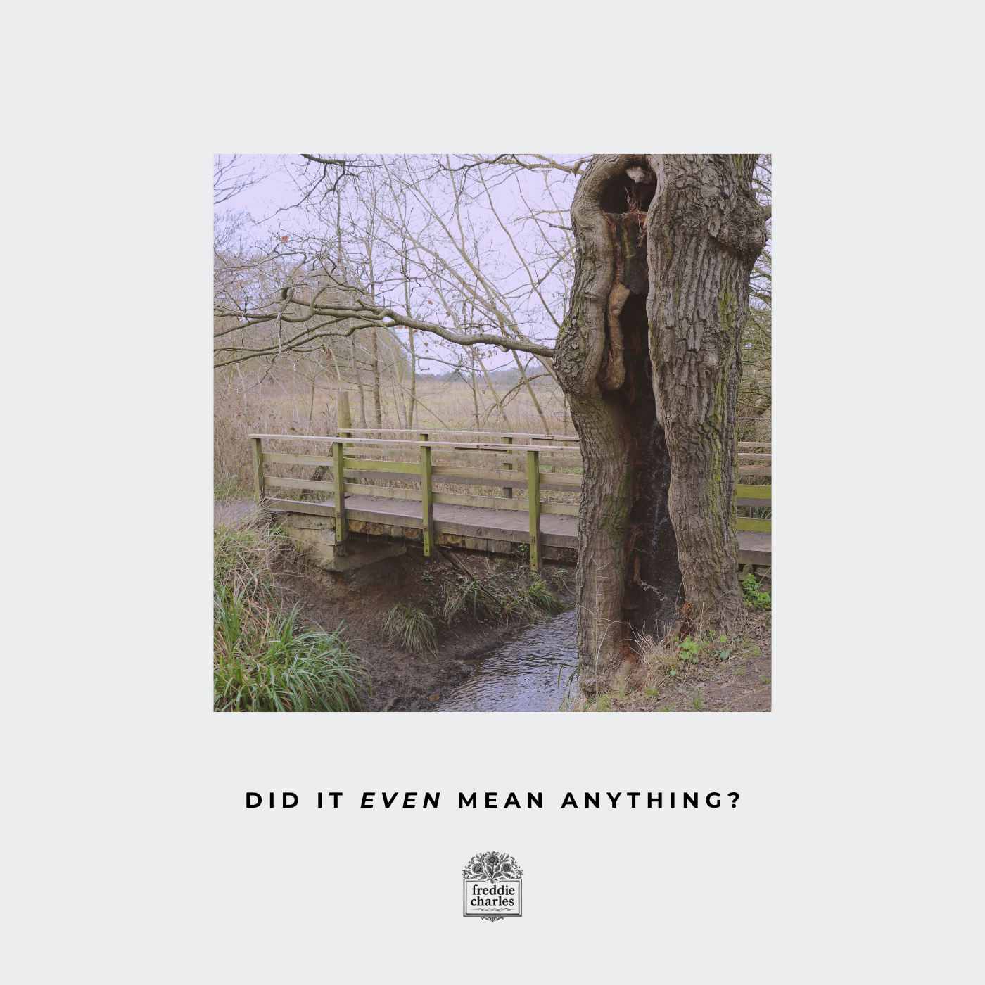 Did it even mean anything? album artwork: a tree and footbridge on pale paper