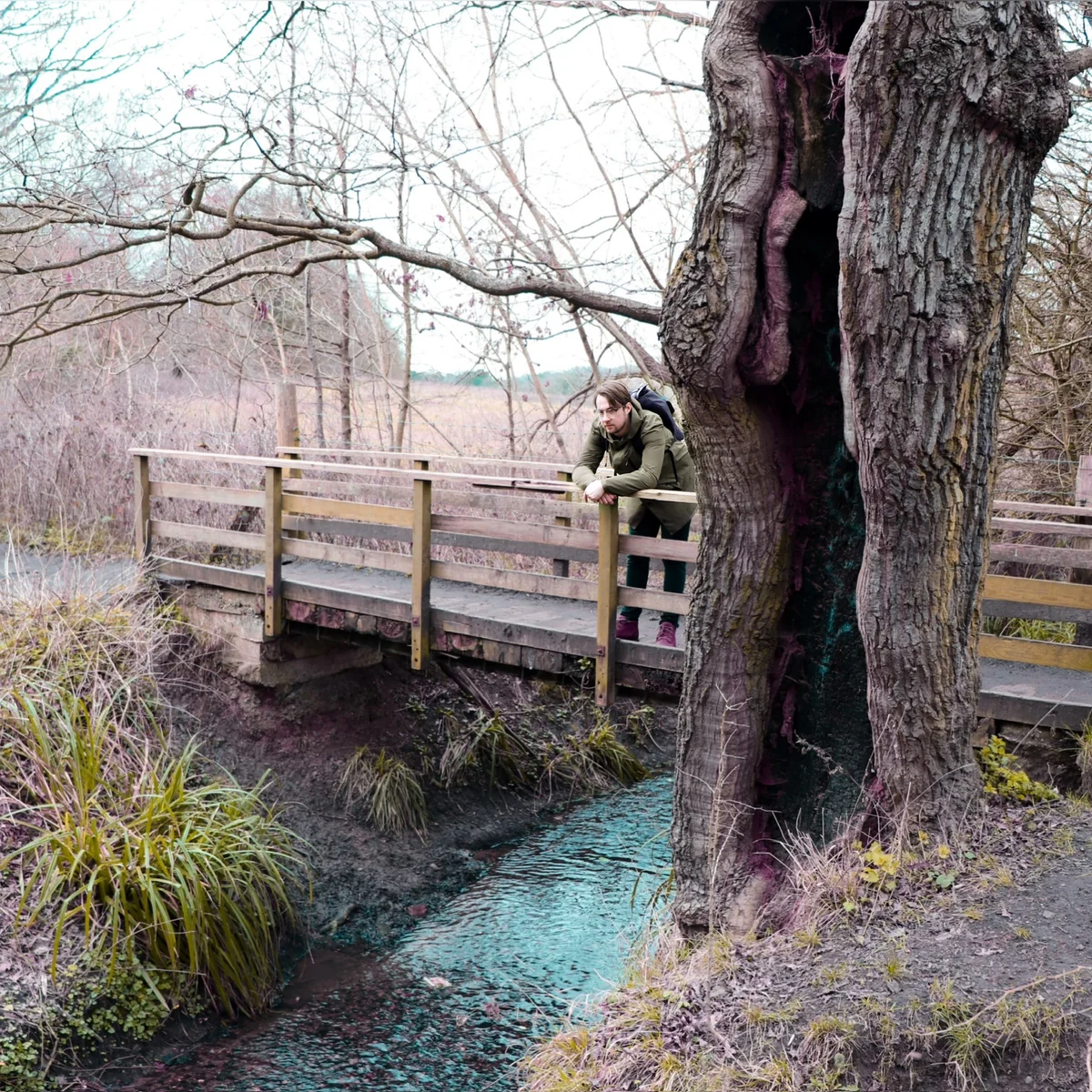 Portrait beside a footbridge and tree, artwork for Did It Mean Anything? by freddie charles