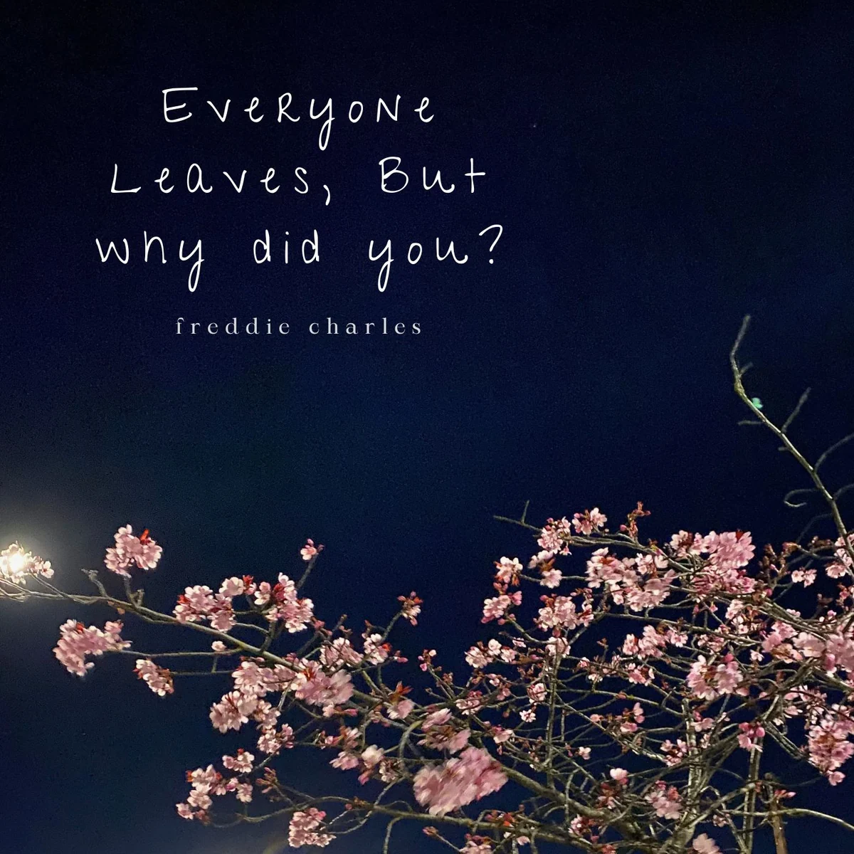 Night sky and blossom artwork for Everyone leaves, but why did you? by freddie charles