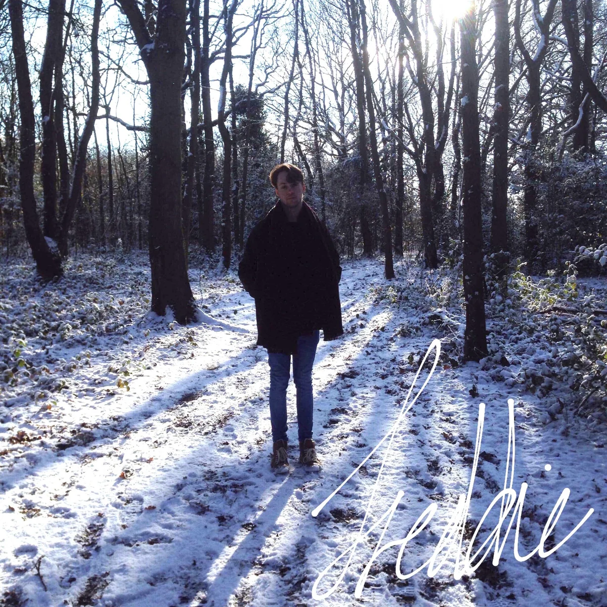 Snow-covered woodland portrait artwork for HOME by freddie charles