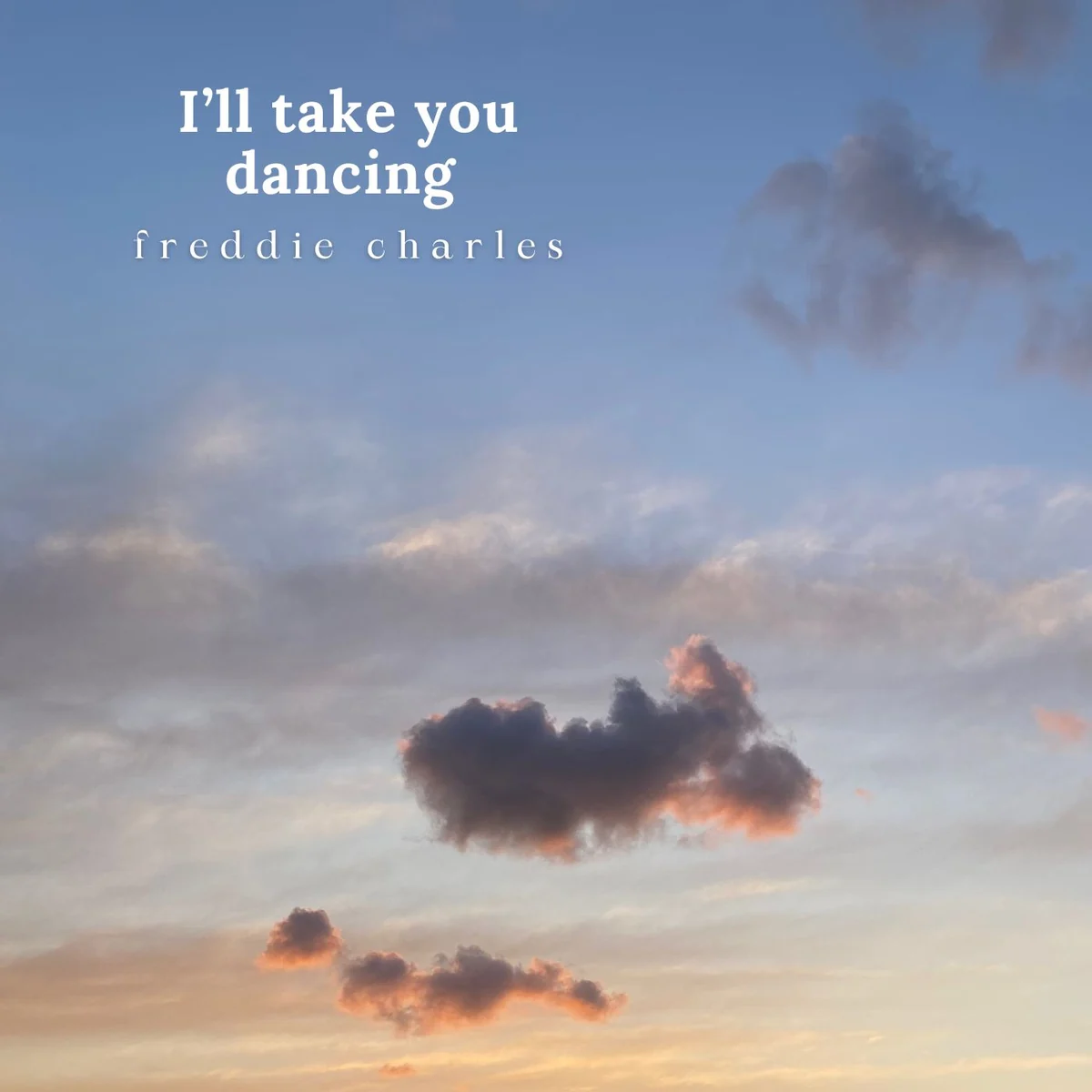 Cloudscape artwork for I’ll take you dancing by freddie charles