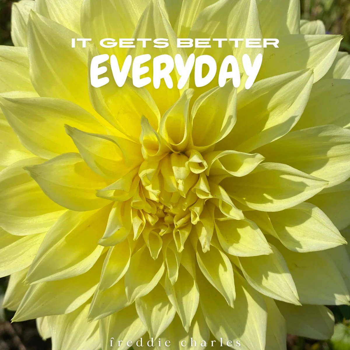 Yellow flower artwork for It gets better everyday. by freddie charles